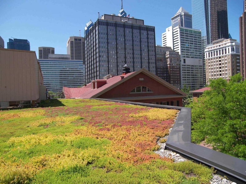 paysagiste-CAP D AIL-min_green-roof-portfolio-4